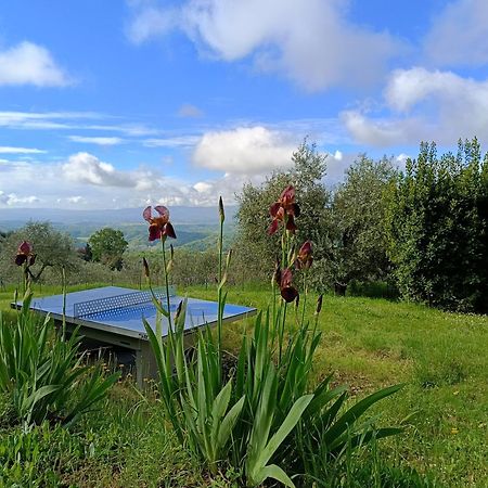 Agriturismo Cafaggio Primo Loro Ciuffenna Buitenkant foto
