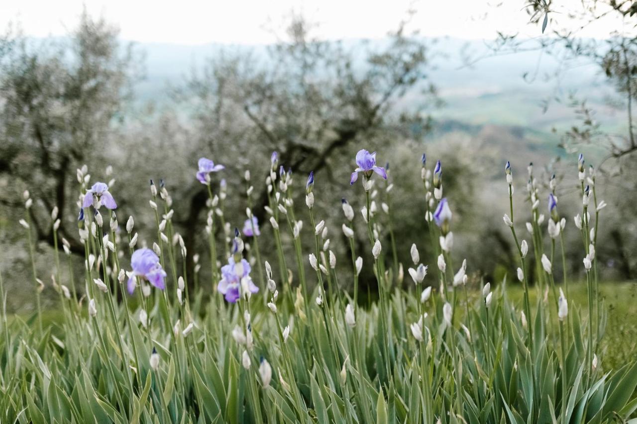 Agriturismo Cafaggio Primo Loro Ciuffenna Buitenkant foto