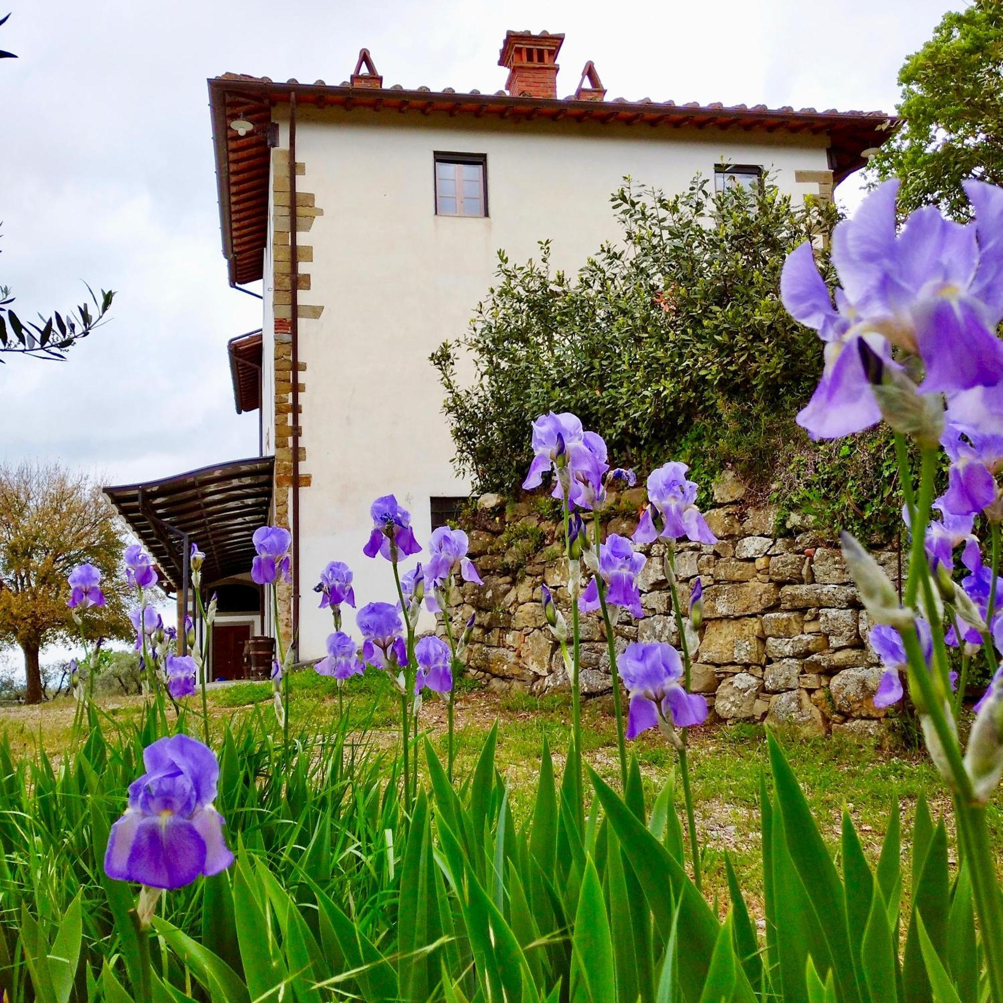 Agriturismo Cafaggio Primo Loro Ciuffenna Buitenkant foto