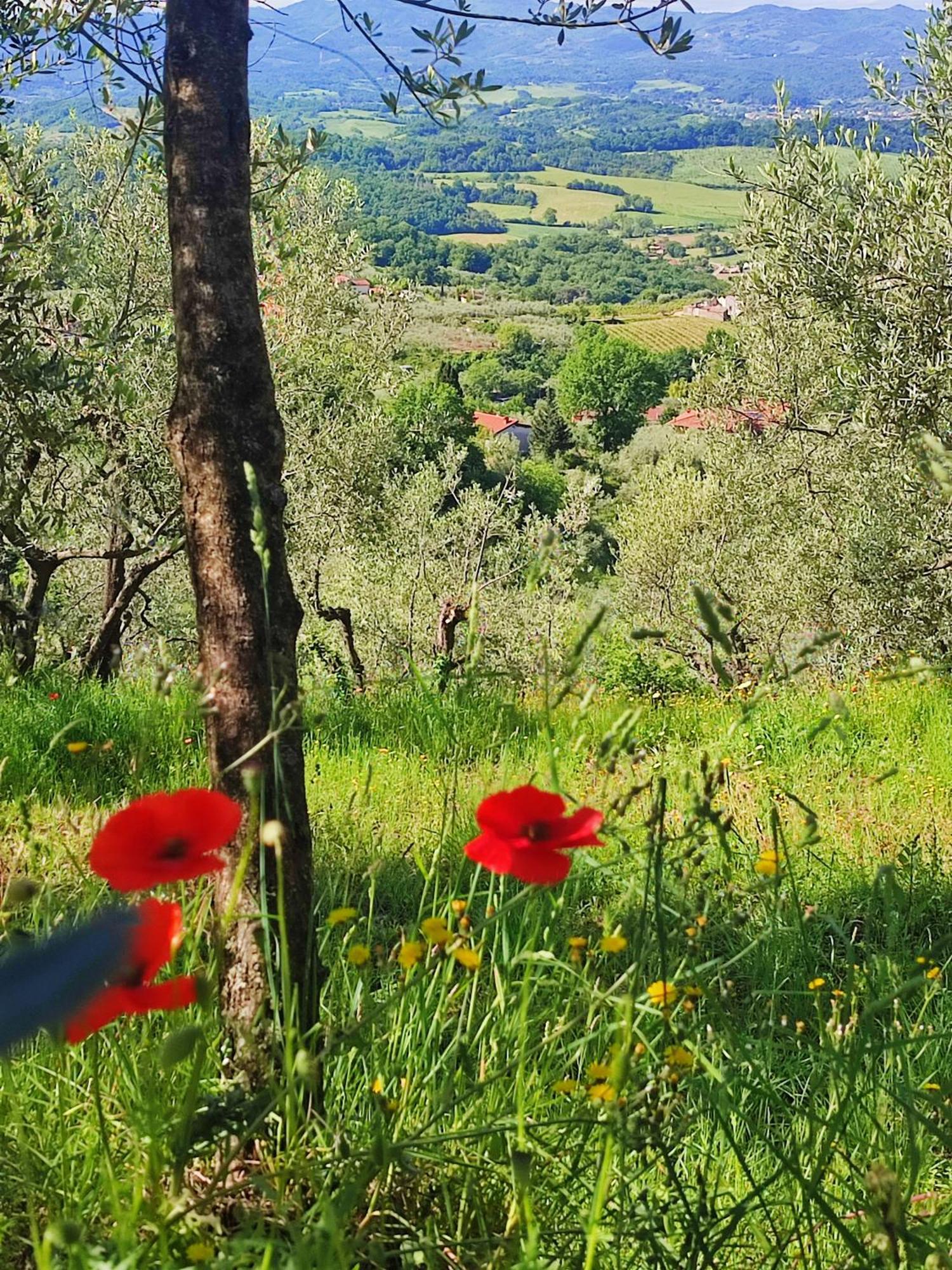 Agriturismo Cafaggio Primo Loro Ciuffenna Buitenkant foto